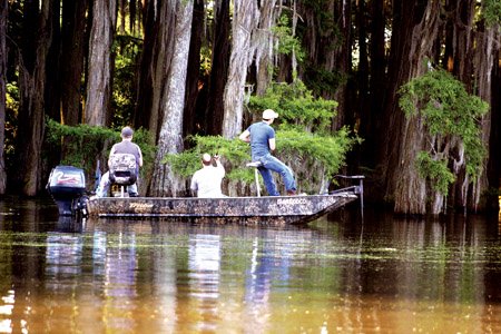bamboo rod or carbon fly fishing A history of bamboo fly rods  Alba Game Fishing
