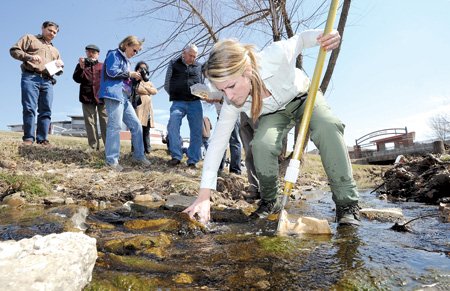 Ecologist Sarah Lewis, a member of the Fayetteville City Council, collects organisms Saturday in College Branch on the University of Arkansas campus, while conducting a portion of a streamside protection and education workshop ahead of an effort to adopt a stream-side protection ordinance in Fayetteville.