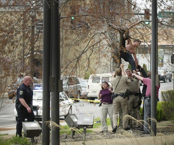 Police pull Abel Tomlinson of Fayetteville from a tree in front of the Washington County Courthouse at College Avenue and Dickson Street on Monday afternoon. Tomlinson was perched in the tree for almost an hour, shouting at passersby and police, before he slipped and police were able to pull him from the lower branches.