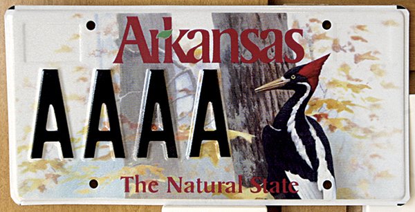 As the trail of the ivory-billed woodpecker has grown colder, demand has waned for the special ivory-billed license plate, shown here soon after its 2005 debut.
