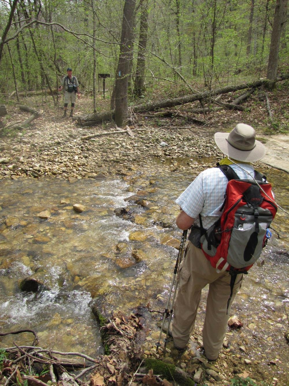 North Sylamore Creek Hiking Trail | The Arkansas Democrat-Gazette ...