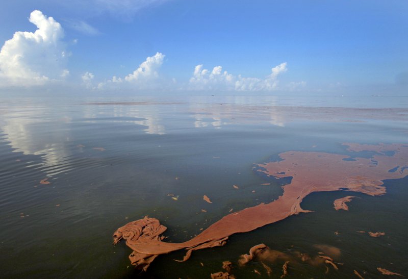 Oil  from the Deepwater Horizon spill floats on the water as the sky is reflected in sheen on Barataria Bay off the coast of Louisiana on Monday, June, 7, 2010. 