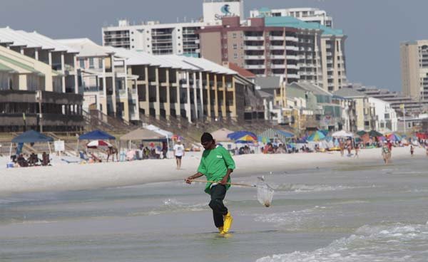 An cleanup worker looks in the surf for tar balls and bits of oil Friday on the beach at Destin, Fla.