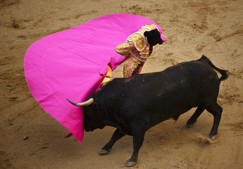  In this April 4, 2010 file photo, Spanish matador Daniel Luque performs with a bull from Juan Pedro Domeq ranch during a bullfight at Las Ventas bullring in Madrid.