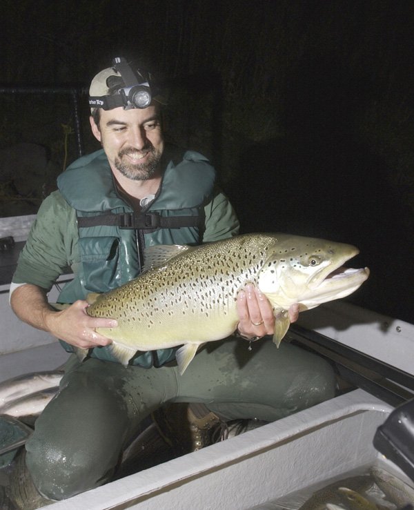 Former state trout biologist Darrell Bowman holds “Ole Whup (insert word that rhymes with bass)” when the brown trout was shocked up in 2004 during an Arkansas Game & Fish Commission electrofishing survey. Bowman is now lakes ecologist at Bella Vista.