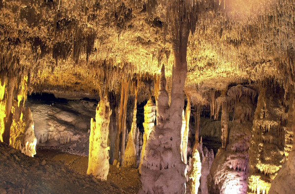 Blanchard Springs Caverns to reopen Aug. 18 after two-year closure - Vimarsana News
