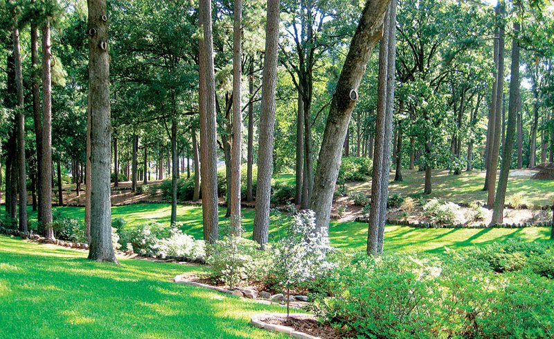When planning a shade garden, the first step is to assess density and time of day of the shade. Decide ahead what style you want — formal or informal.