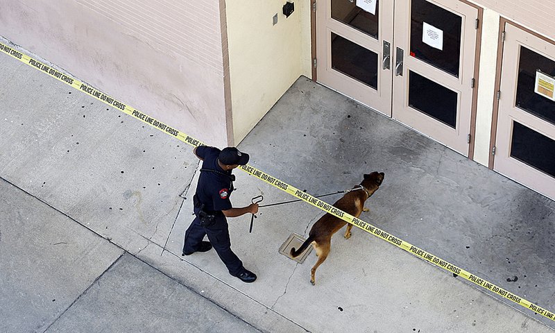  Police use a K-9 to search the University of Texas campus after a gunman opened fire then killed himself inside a library, Tuesday.