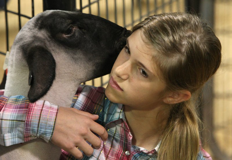 Bailey Stettmeier snuggles with her sheep while waiting her turn to enter the show ring Saturday. 