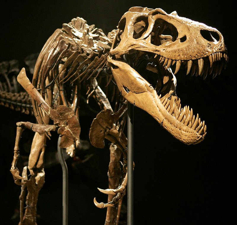 Cannibalism in Tyrannosaurus rex