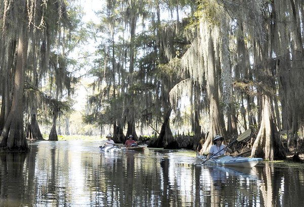 Warren Cunningham of Springdale, from left, Doug Powell of Eureka Springs and and Judy Combs of Fayetteville paddle through a shadowed cut under moss-covered bald cypress trees on Oct. 12 on Caddo Lake on the Texas-Louisiana border. It was their second day of paddling on the lake.