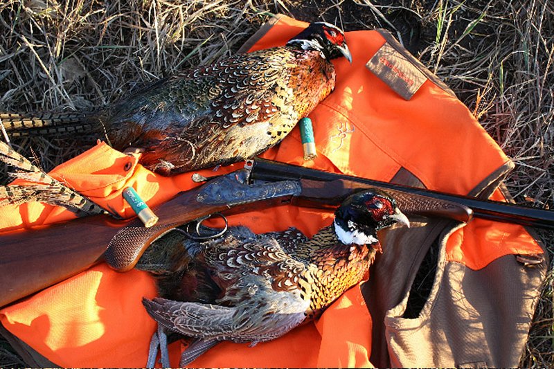 A good side-byside shotgun is ideal for pheasant hunting on the Great Plains.


 
