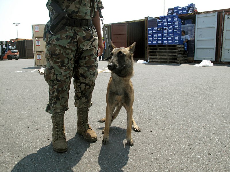 A Mexican official and dog are on the lookout for contraband recently at the port of Veracruz, where more than 1,700 ships arrive each year, delivering hundreds of thousands of containers. 