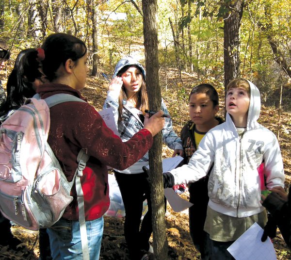 Decatur Northside Elementary fifth grade students Payton Sargent, Kimberly Mendoza, Christian Cacerus, Ryan Shaffer examined a small oak tree while conducting a series of field experiments at Crystal Lake.