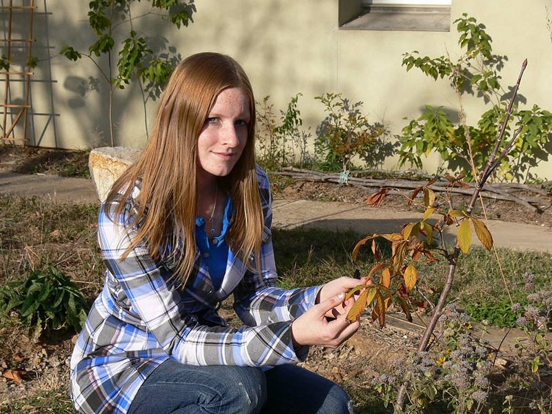 Halie Ellis examines a plant in the native wildflower garden at the Arkansas Audubon Center. 