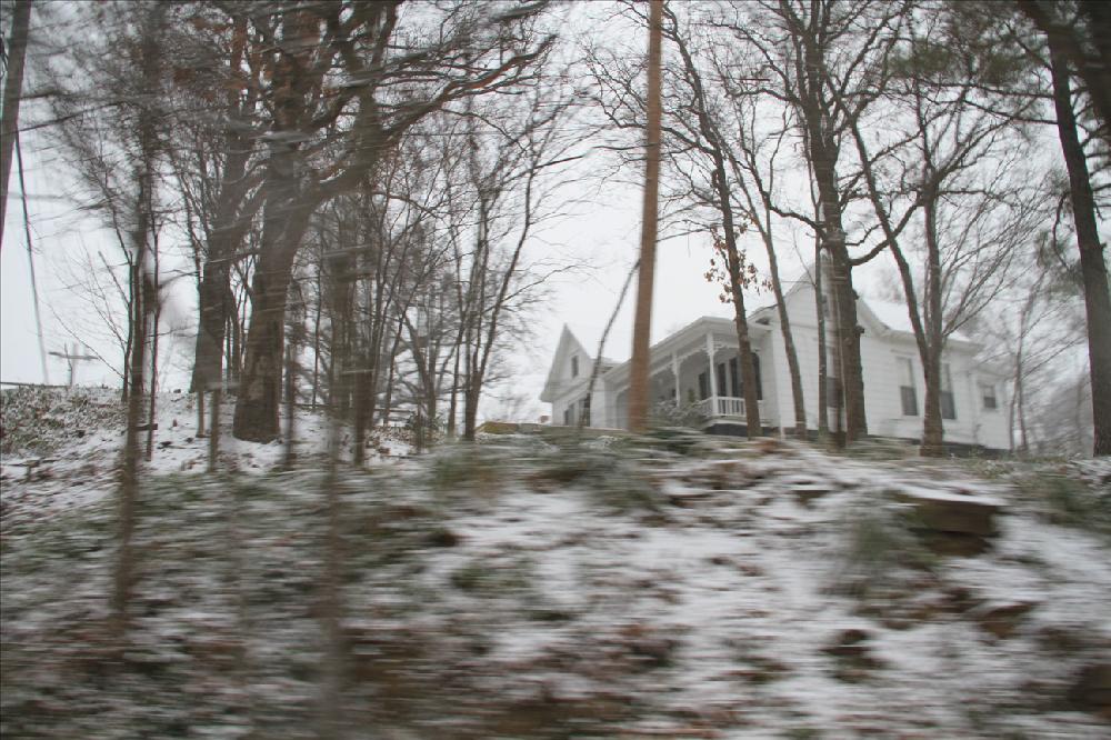 Photos by David.L