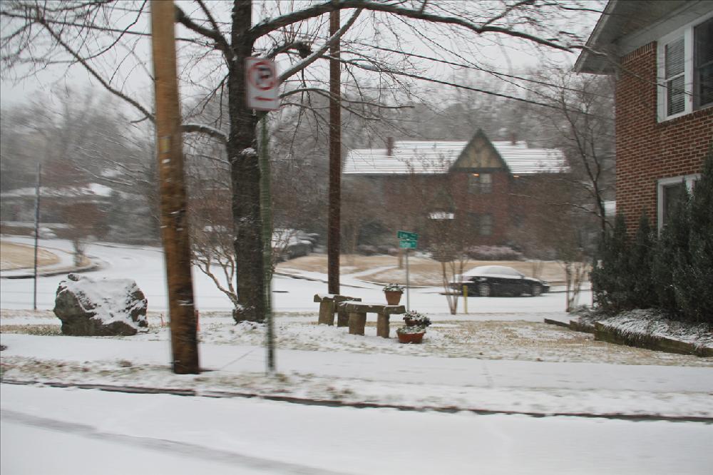 Photos by David.L
