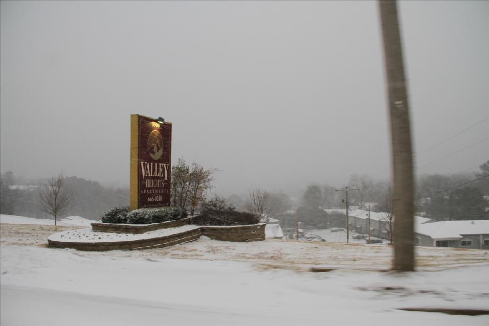 Photos by David.L