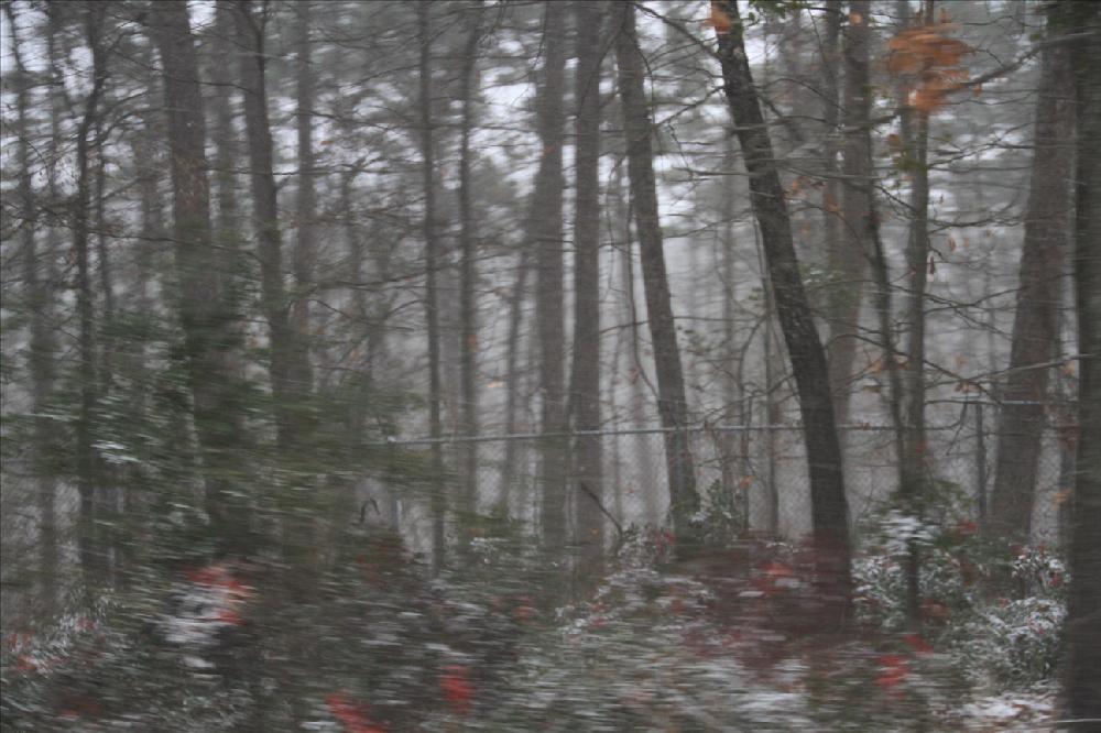 Photos by David.L