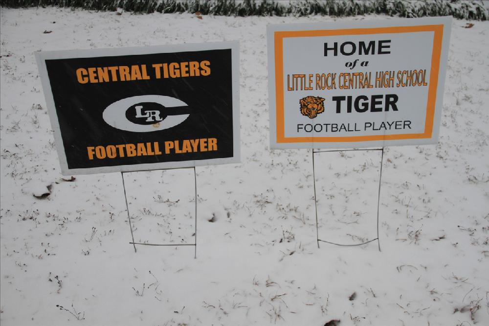 Photos by David.L