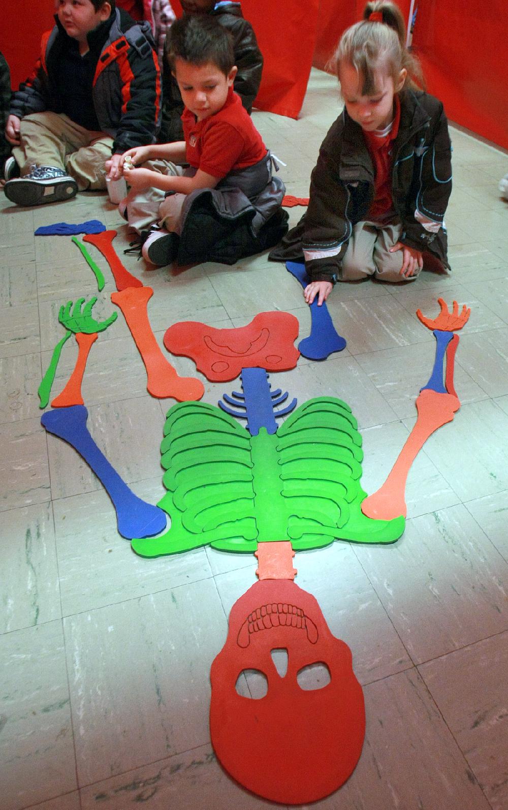 Arkansas Democrat-Gazette/RICK MCFARLAND--02/07/11-- Victor Hernandez (left) and Emily Houston, both kindergarten students, handle the parts of a rubber human skelton at a station for Body Walk, a 30 ft by 36 ft walk-through exhibit that visited Dupree Elementary School in Jacksonville Monday. The exhibit is operated by the University of Arkansas Division of Agriculture Cooperative Extension Service.