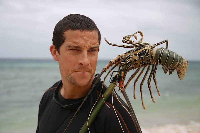 Bear Grylls spears a little lunch on one of his Man vs. Wild adventures. Season 6 begins at 8 p.m. today on Discovery Channel. 