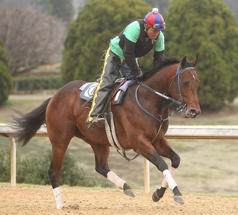 J P’s Gusto, with exercise rider Israel Alvarado aboard, works out Thursday at Oaklawn Park in Hot Springs. J P’s Gusto will make his 3-year-old debut in the Southwest Stakes on Monday. 