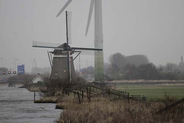 Many Dutch oppose wind turbines, which are much larger than traditional windmills, like these near Leiden, Netherlands. 