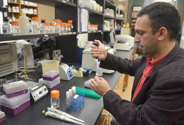 Adnan Al-Rubaye, a University of Arkansas at Fayetteville professor and doctoral candidate, works recently in the UA science lab.
