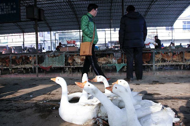 A market in Chuzhou, China, offers geese for sale Wednesday. China’s National People’s Congress will today hear the government’s five-year plan, which will cover household spending.

