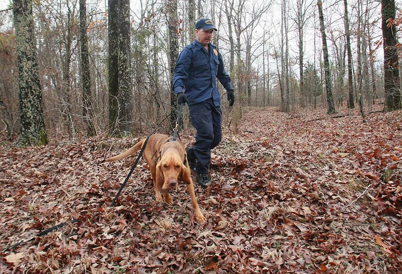 Joe Norwood and Daisy leave the woods Wednesday after competing in the Southern States Manhunt Field Trials. They are part of a dog-tracking team from Louisiana.

