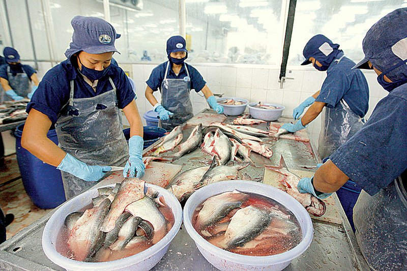 Catfish farms facing newlaw bite Northwest Arkansas DemocratGazette