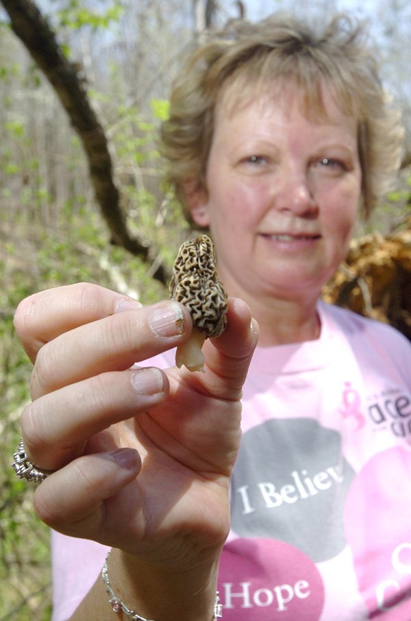 Open Season On Mushrooms Northwest Arkansas DemocratGazette