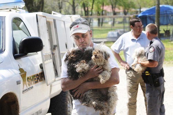 Clayton Morgan, director of the Humane Society for Animals in Rogers, carries a handful of puppies found Thursday inside a mobile home in Centerton to the shelter as John Newell, right, animal control deputy, and Capt. Mike Jones with the Benton County Sherriff’s Office, talk in Rogers. To see more photos visit http:// photos.nwaonline.com.
