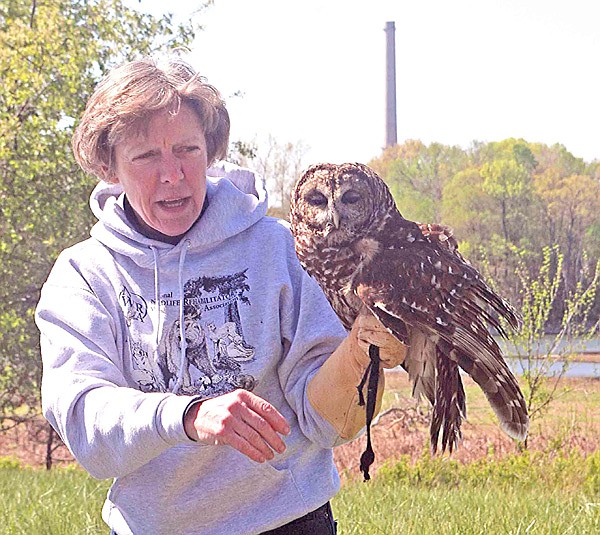 Lynn Sciumbato of Morning Star Rehabilitation Center, Gravette, showed a barred owl during the recent Earth Day observance at the Eagle Watch Nature Area.