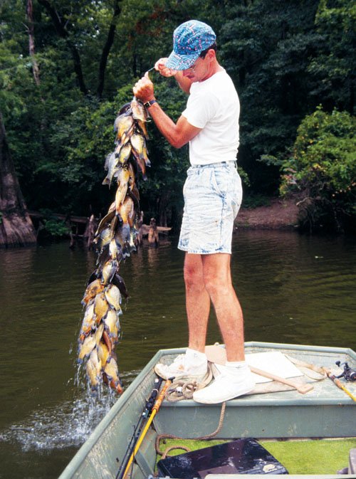 OUTDOORS: Fishing with the Bream Master  The Arkansas Democrat-Gazette -  Arkansas' Best News Source