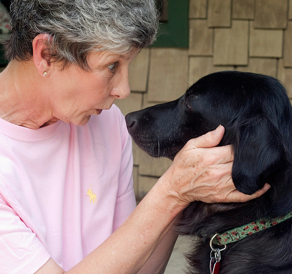 mid south cocker spaniel rescue