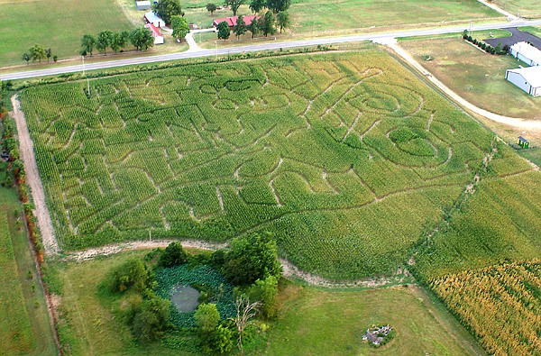 An aerial photograph of the Bloomfield Corn Maze on Friday reveals some of its sponsors' names. The 10-acre corn maze is scheduled to open to the public on Sept. 16 and remain open through Nov. 6. A pumpkin patch, tractor rides and hay rides are also planned.
