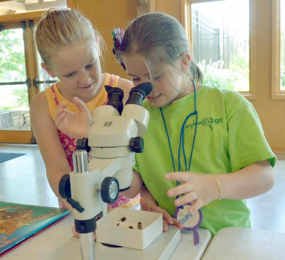 Arkansas Democrat-Gazette/MICHAEL WOODS  --08/02/11-- Breanna Pettay, 9 from Rogers, (left) and Emily Kemp, 10 fom Springdale, take a look at some bugs under the microscop Tuesday morning at the Botanical Garden of the Ozarks during a summer class for local elementary school students.