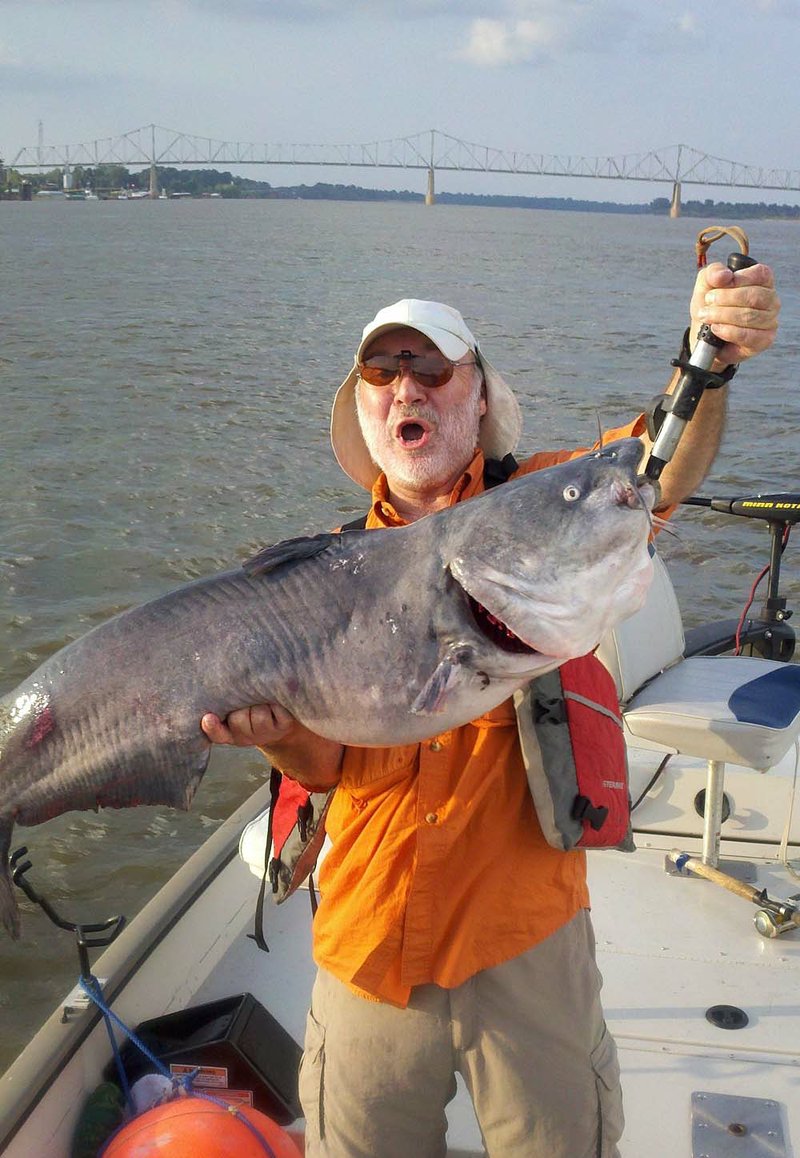 Steve "Wildman" Wilson hefts a 45-pound catfish he caught on the Mississippi River at Helena. The former Arkansas Game and Fish Commission radio broadcaster announced he would continue his outdoor radio show "Call of the Wild" at KARN. 
