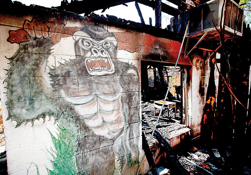 An Aug. 3 fire charred a building that once housed a restaurant and gift shop at the closed Dinosaur World theme park near Beaver Lake. The park closed in 2005.