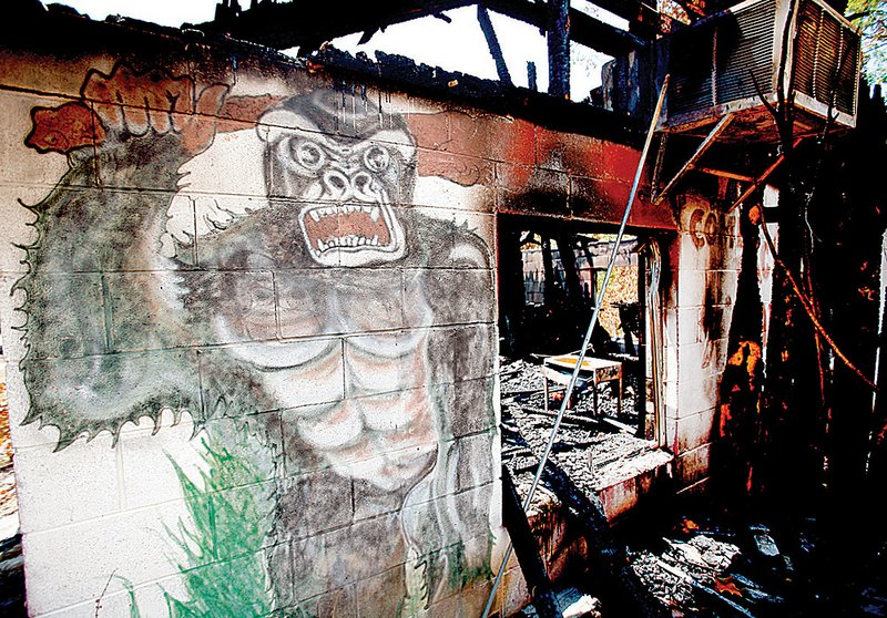 An Aug. 3 fire charred a building that once housed a restaurant and gift shop at the closed Dinosaur World theme park near Beaver Lake. The park closed in 2005. story.lead_photo.caption