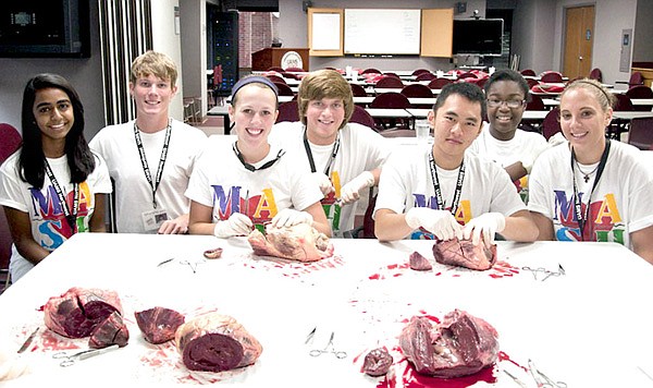 Anusha Majagi of Rogers (left), Trey Perkins of Bentonville, Lexi Anglin of Siloam Springs, Russell Sharp of Gravette, Nick Vang of Siloam Springs, Monica Hamilton of Rogers and Alex Hufford of Bella Vista recently attended a Medical Application of Science for Health camp where they learned more about anatomy.
