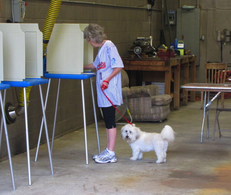 Patricia Goodson votes Tuesday morning at Fire Station No. 10 with her dog, Cricket, at her side.