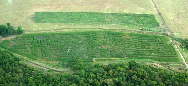 This year's Right Choices Corn Maze design is a patriotic theme commemorating the 150th anniversary of the beginning of the Civil War.