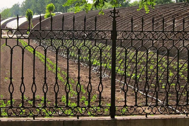  Vegetables are grown behind the fence of the customs farm in Beijing, China. &quot;It is for officials only. They produce organic vegetables, peppers, onions, beans, cauliflowers, but they don&apos;t sell to the public,&quot; said Li Xiuqin, 68, a lifelong Shunyi village resident who lives directly across the street from the farm but has never been inside. &quot;Ordinary people can&apos;t go in there.&quot; 