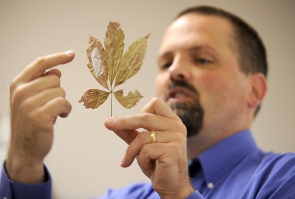 ‘IN THE BEGINNING ...’ Pete Golden describes the venation of a Virginia creeper leaf Sept. 22 while teaching a biology class at Covenant Presbyterian Church in Fayetteville. Golden began teaching free classes at the church in July.
