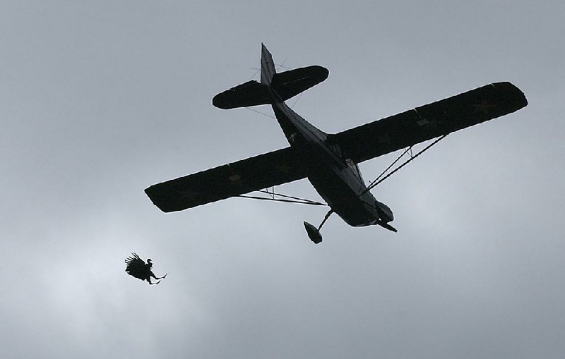 No falling turkeys at Yellville festival this year The Arkansas