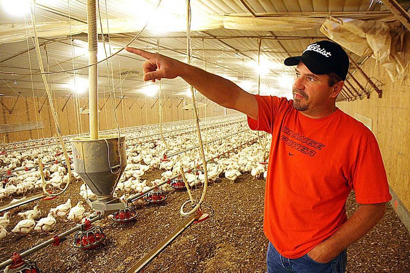 Dwain Asbill of Watts, Okla., is a poultry farmer for Tyson Foods Inc. of Springdale and built two new poultry houses last year, bringing his total to eight. The new houses hold 31,000 birds. 