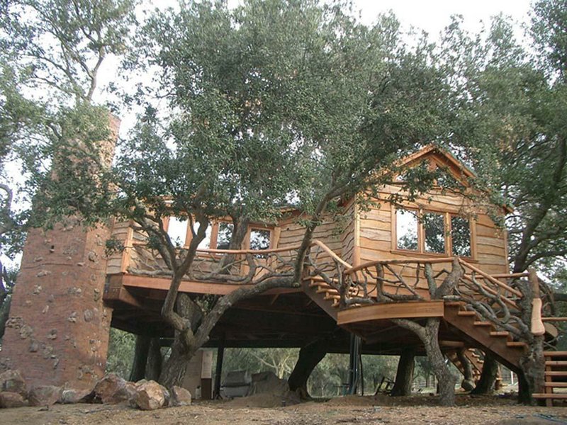 TreeHouse Workshop
A “tree home” in California features full living quarters including a bathroom, running water, a kitchen and a washer and dryer. 